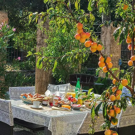 Relais De Laval Maison d'hôtes Caudies-de-Fenouilledes